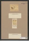 Porodiscus splendidus Grev. (de-Toni-Nr.: Genus 200, Species 4823) Zeichnungen Sammlung Grunow Nr. 8486 (NHMW-BOT-W0377953)